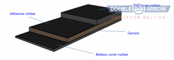 1511945475589489eerB.jpg zhiwuxinjiegou563.jpg